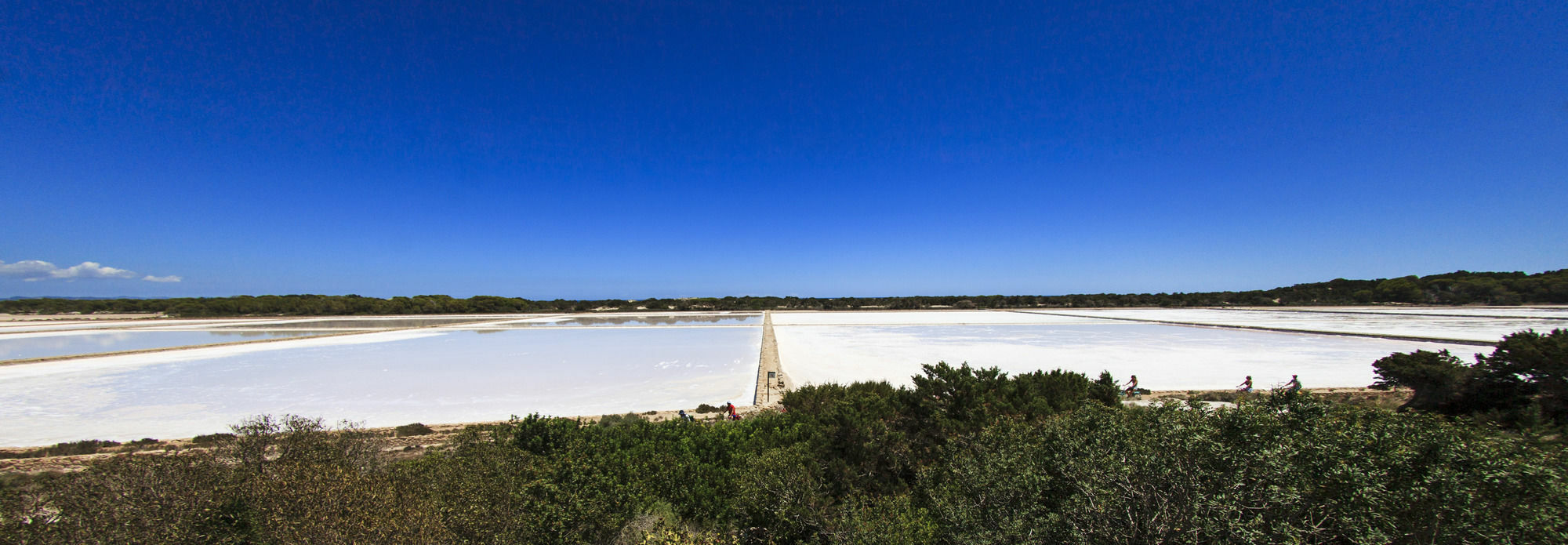 Cas Saliners - Sa Revista By Formentera Mar La Savina (Formentera) Exterior foto